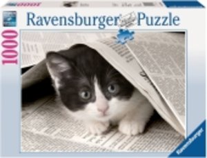 Ravensburger 19256 - Neugieriges Kätzchen, 1000 Teile Puzzle