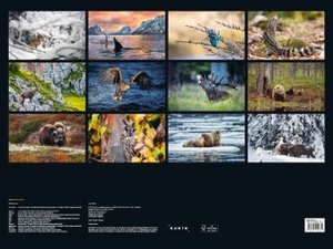 Safari Europa - KUNTH Wandkalender 2024