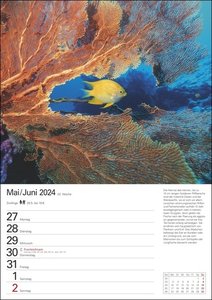 Wunder der Meere Wochenplaner 2024. Ein Wand-Kalender 2024 zum Eintragen und Staunen! Terminkalender mit atemberaubenden Fotos von Meeresbewohnern und Infos zu ihrem Leben