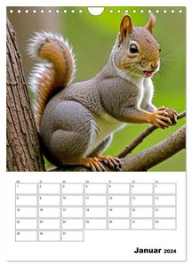 Mit Tieren hinein in das neue Jahr (Wandkalender 2024 DIN A4 hoch), CALVENDO Monatskalender