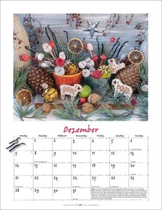 Augenschmaus Kalender 2026 - Gewürze und Kräuter rund ums Jahr