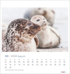 Robby & Co. Postkartenkalender 2026