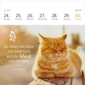 Mini-Wochenkalender Katzenglück 2024