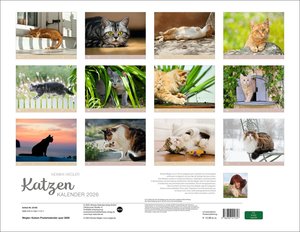 Monika Wegler: Katzenkalender 2026