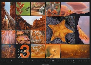 Colours of Nature Kalender 2023