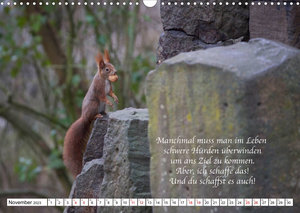 Tipps von Eichhörnchen an Eichhörnchenliebhaber (Wandkalender 2023 DIN A3 quer)