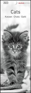 Katzen 2023 - Lesezeichenkalender 5,5x16,5 cm - Cats - Tierkalender - Lesehilfe - Alpha Edition