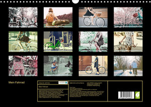 Mein Fahrrad (Wandkalender 2023 DIN A3 quer)