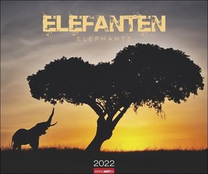 Elefanten Kalender 2022