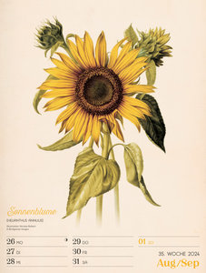 Ars Floralis - Vintage Wochenplander Kalender 2024