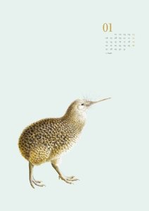 Wandkalender »Menagerie« 2025 – Historische Tier- und -Pflanzen-Zeichnungen modern interpretiert – Von 30x40 – 29,7 x 42 cm – Mit Spiralbindung