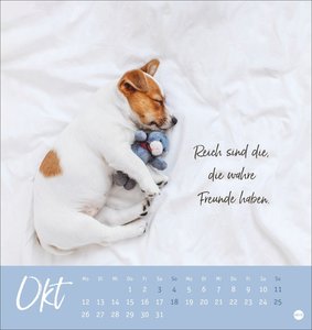 Ziemlich beste Freunde Postkartenkalender 2026