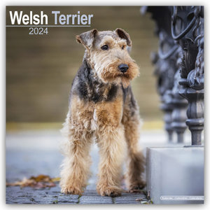 Welsh Terrier 2024 - 16-Monatskalender