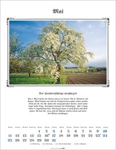 Der Hundertjährige Kalender 2026