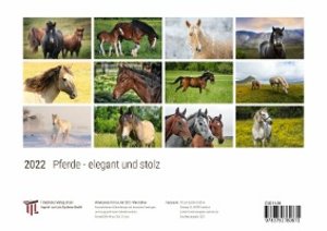 Pferde - elegant und stolz 2022 - White Edition - Timokrates Kalender, Wandkalender, Bildkalender - DIN A4 (ca. 30 x 21 cm)