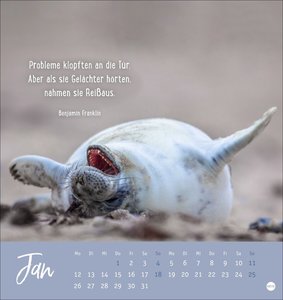Never give up! Postkartenkalender 2026
