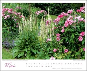 Im Rosengarten 2023 - DUMONT Garten-Kalender - Querformat 52 x 42,5 cm - Spiralbindung