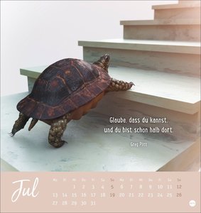 Never give up! Postkartenkalender 2026