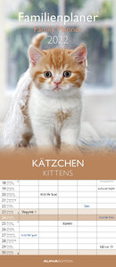 Kätzchen 2022 Familienplaner - Familienkalender - Wandkalender - 19,5x45