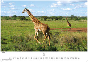 Kenia/Serengeti 2022 S