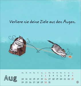 Catzz Postkartenkalender 2026
