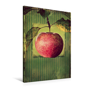 Premium Textil-Leinwand 60 cm x 90 cm hoch Apfel im vintagelook