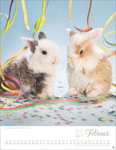 Kaninchenkinder Posterkalender 2026