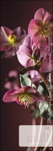 Magic Flowers Vertical Kalender 2023. Langer Wandkalender mit farbenprächtigen Blumen-Fotos. Dekorativer XXL Kalender vertikal mit beeindruckenden Blüten. 25x69 cm