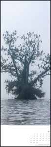 Bäume 2022 - Foto-Kalender - Wand-Kalender - King-Size - 34x98