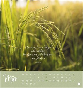 Ich wünsch dir ... stille Momente Postkartenkalender 2022