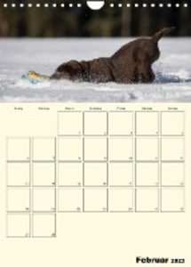 Welpenspaß - Labrador Welpen entdecken die Welt (Wandkalender 2023 DIN A4 hoch)