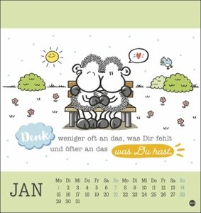 sheepworld Postkartenkalender 2024. Liebevoll illustrierter Kalender zum Aufstellen oder Aufhängen. Kultiger Postkarten-Kalender. Kleiner Kalender mit 12 süßen Postkarten.