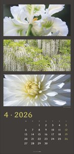 Die Farben der Natur Kalender 2026