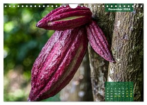 Früchte der Karibik (Wandkalender 2024 DIN A4 quer), CALVENDO Monatskalender