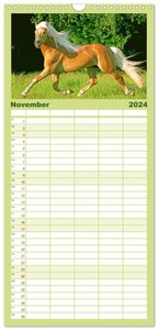 Familienplaner 2024 - Haflinger: Die blonden Pferde von der Alm mit 5 Spalten (Wandkalender, 21 x 45 cm) CALVENDO