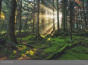 Deutsche Nationalparks - Edition Alexander von Humboldt 2026
