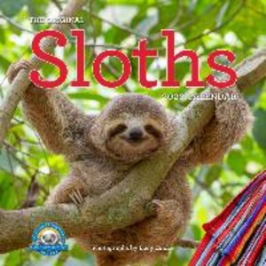 Original Sloths Wall Calendar 2023: The Ultimate Experts at Slowing Down