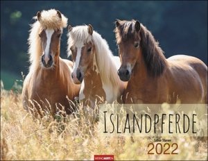Islandpferde Kalender 2022