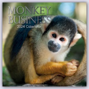 Monkey Business 2024 - 16-Monatskalender