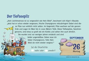 Gute-Nacht-Kalender 2022: Käpt\'n Blaubär Abendabreißkalender für Kinder