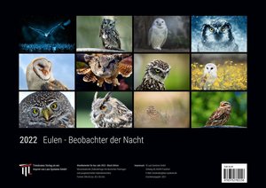 Eulen - Beobachter der Nacht 2022 - Black Edition - Timokrates Kalender, Wandkalender, Bildkalender - DIN A3 (42 x 30 cm)