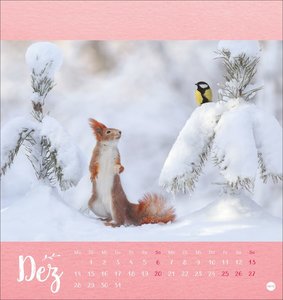 Vadim Trunov: Märchenhaftes Waldleben Postkartenkalender 2026