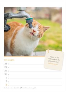Katzenglück Wochenkalender 2025 - mit Zitaten