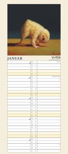 Lucia Heffernan: Yoga Chicks Planer 2025 – Wandkalender – Notiz-Kalender mit 2 Spalten – Format 22 x 49,5 cm