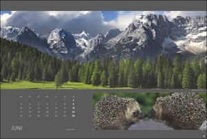 Alpen nah und fern Edition Kalender 2024. Wandkalender mit faszinierenden Fotos der Alpen. Hochwertiger Kalender, Landschaften 2024 im Großformat.
