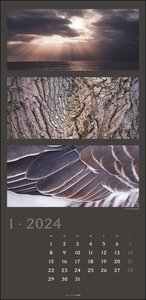 Die Farben der Natur Kalender 2024. Stilvoller Foto-Wandkalender XL. Natur-Kalender 2024 zeigt in harmonischen Kompositionen den Farbenreichtum der Natur. 33x68 cm.