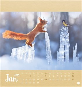 Vadim Trunov: Märchenhaftes Waldleben Postkartenkalender 2025