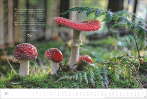Der deutsche Wald - Ein literarischer Spaziergang Kalender 2025 - Ein literarischer Spaziergang