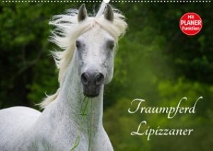 Traumpferd Lipizzaner (Wandkalender 2023 DIN A2 quer)