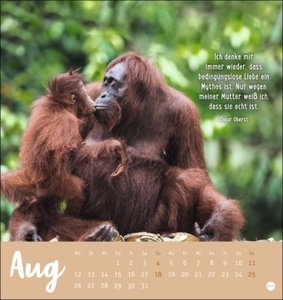 Mama! Postkartenkalender 2024. Entzückende Tier-Mütter und ihre Tierkinder in einem Tischkalender zum Aufstellen. Kalender-Postkarten zum Sammeln oder Verschicken an die Mama.